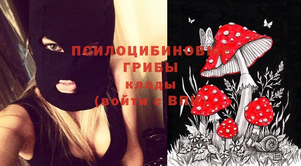 МДПВ Алексеевка
