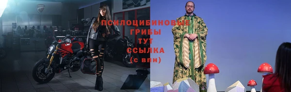 МДПВ Алексеевка