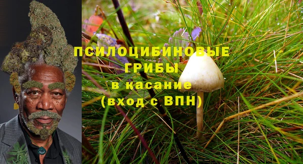 ALPHA PVP Алексин