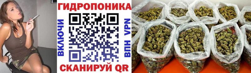 мега ССЫЛКА  Анапа  МАРИХУАНА сатива 